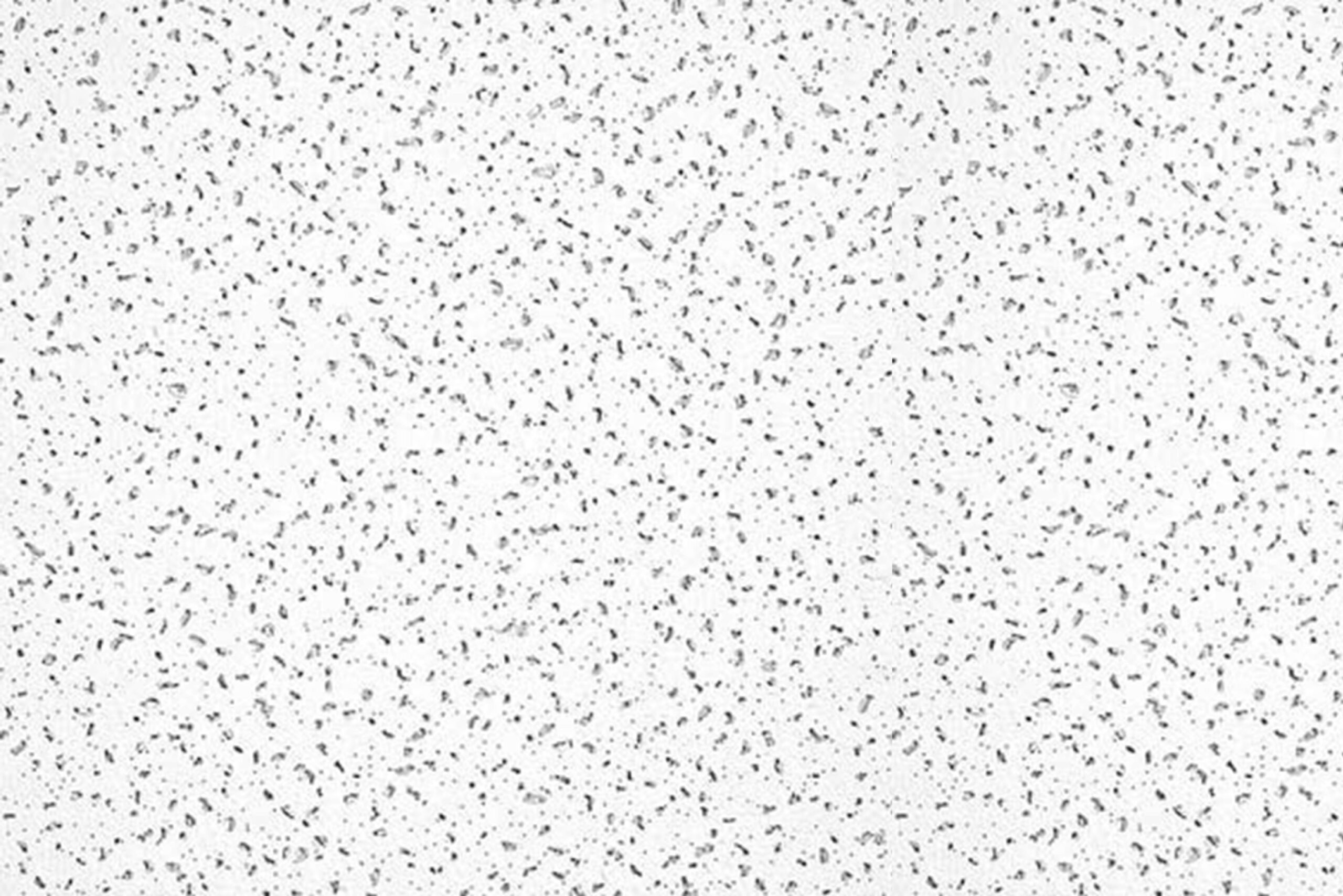 Comet Owa-01 Comet Owa - Imagen 1