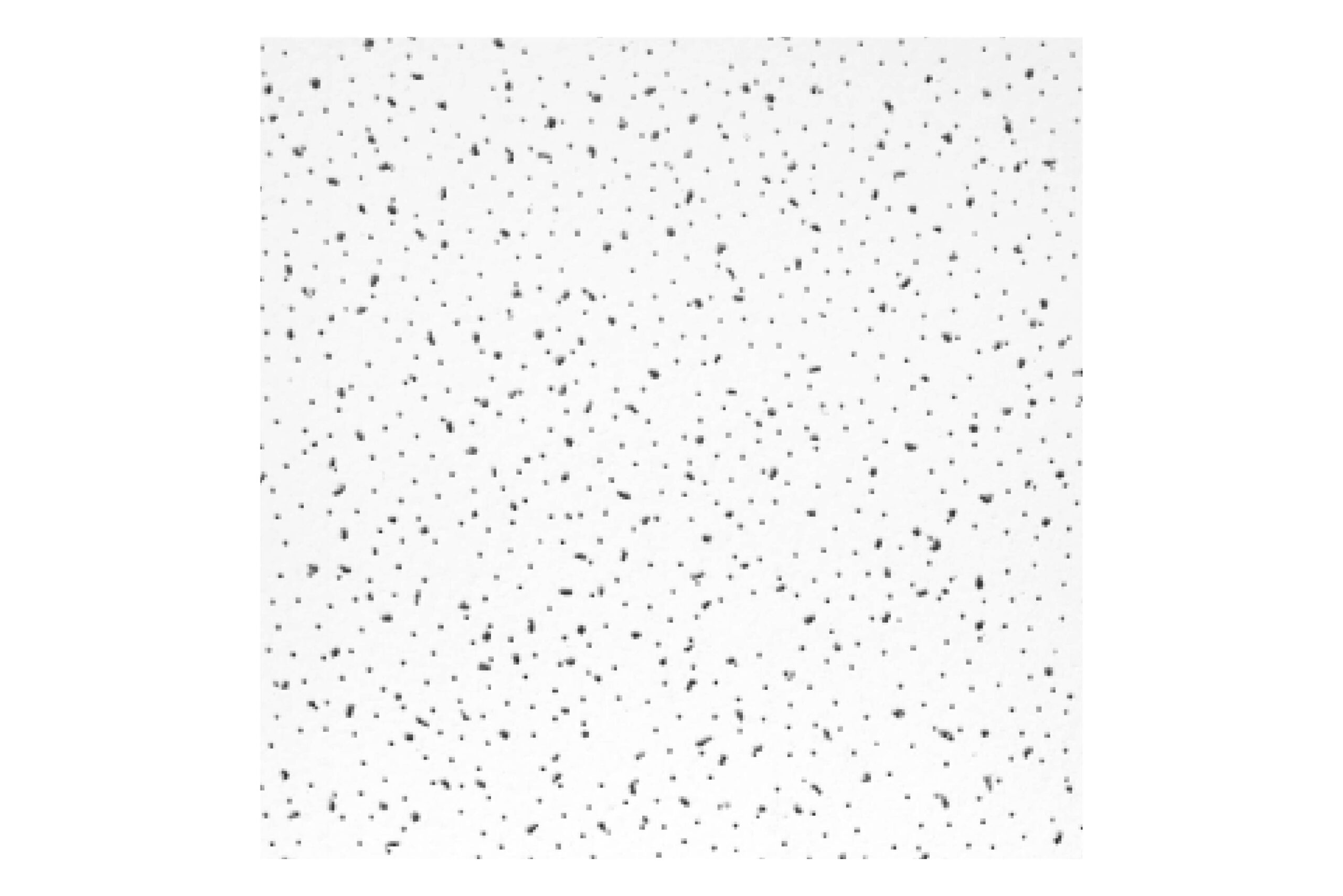 fi-01 Fissured - Imagen 1